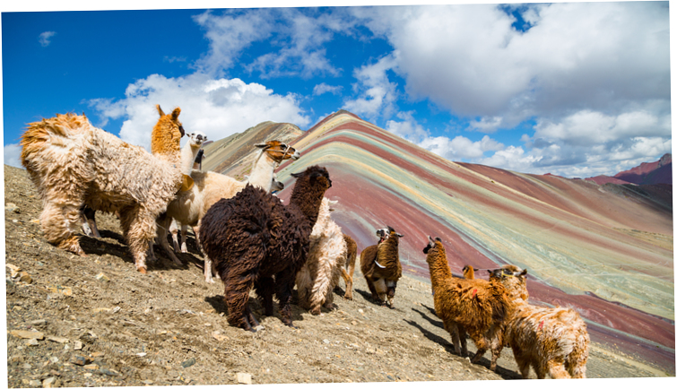 montaña 7 colores con llamas (6