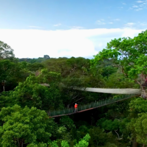 Ceiba Tops & Puente Colgante Especial 5 días 4 noches