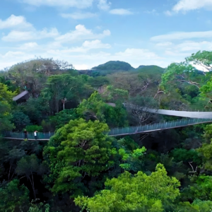Explorama Lodge & Puente Colgante Especial 4 días 3 noches