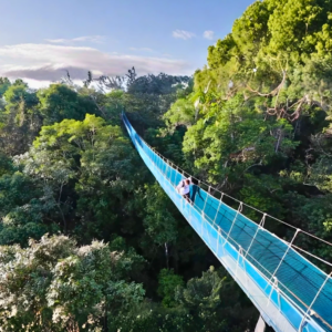 Explorama Lodge & Puente Colgante Especial 5 días 4 noches