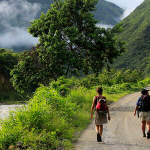 Inca Jungle 4 Días 3 Noches
