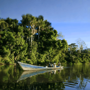 Amazon Jungle 2 Días 1 Noche