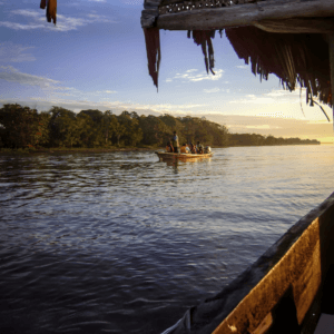 Amazon Jungle 5 Días 4 Noches