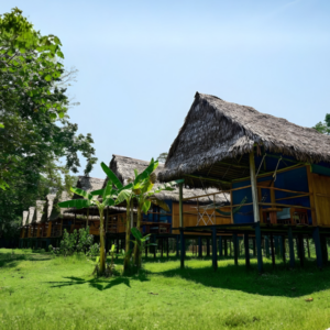 Muyuna Amazon Lodge 3 días 2 noches