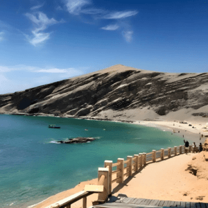 Full Day Paracas