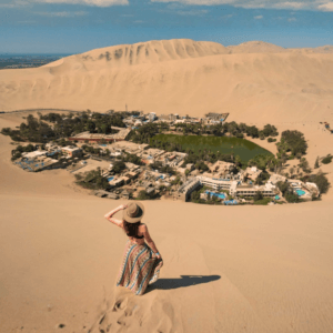 Full Day Paracas – Ica 2026