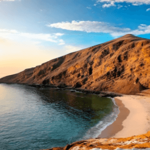 Paracas – Ica – Nazca 3 Días 2 Noches (Pernocte en Paracas e Ica)