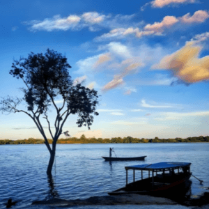Pucallpa Básico 3 Días 2 Noches