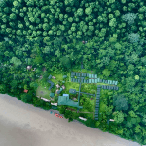 Eco Selva – Eco Amazonía Lodge 2 días 1 noche