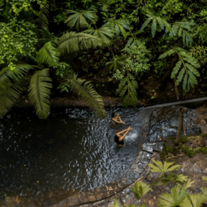 Tarapoto con Pumarinri Aventura: La Selva de Chocolate 03 Días 02 Noches 2026